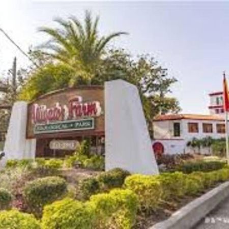 Beach Side Complex B23 1 Bed 1 Bath W/Heated Pool St. Augustine Kültér fotó